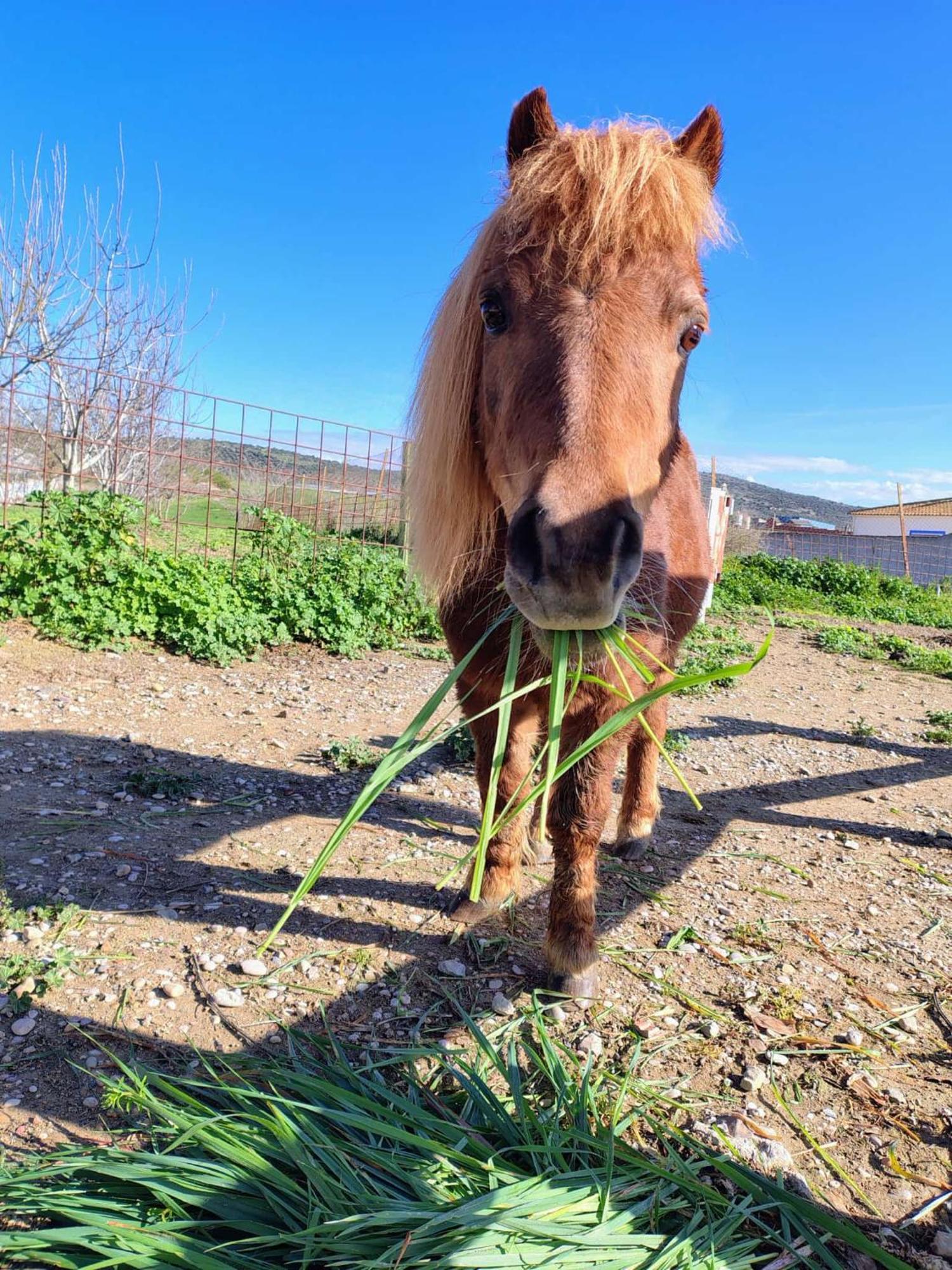 Los Laureles Casa Rural Urda Kültér fotó